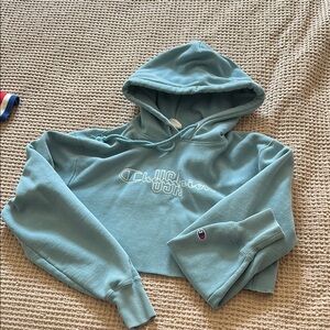 Champion Blue Sweater Relaxed Fit